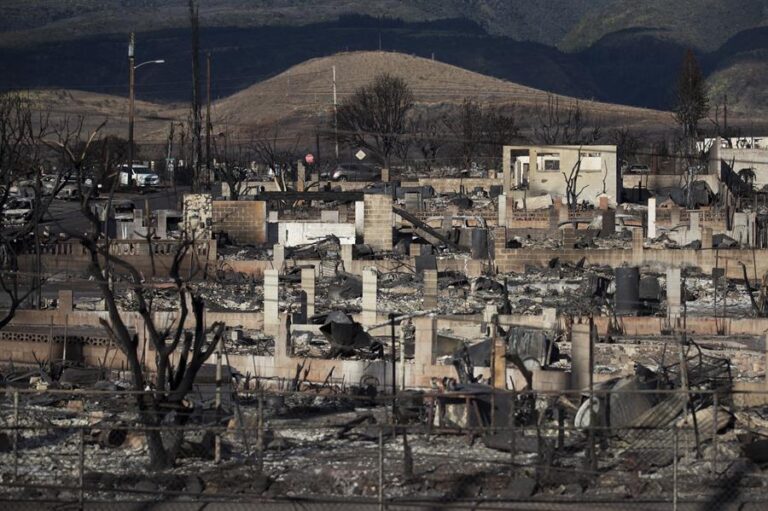 Sigue la tragedia en Hawái: Número de muertos por incendios forestales se elevó a 96