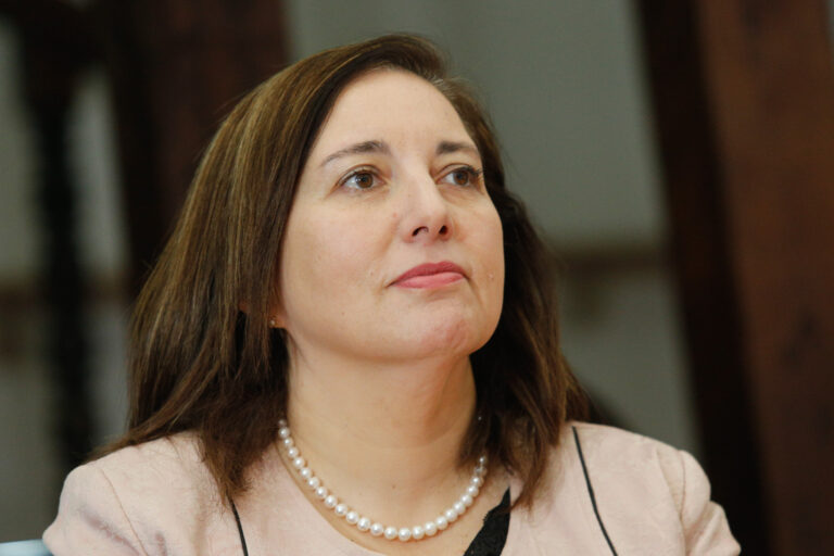 Vodanovic y dichos de Andrade sobre respaldo al Gobierno: 