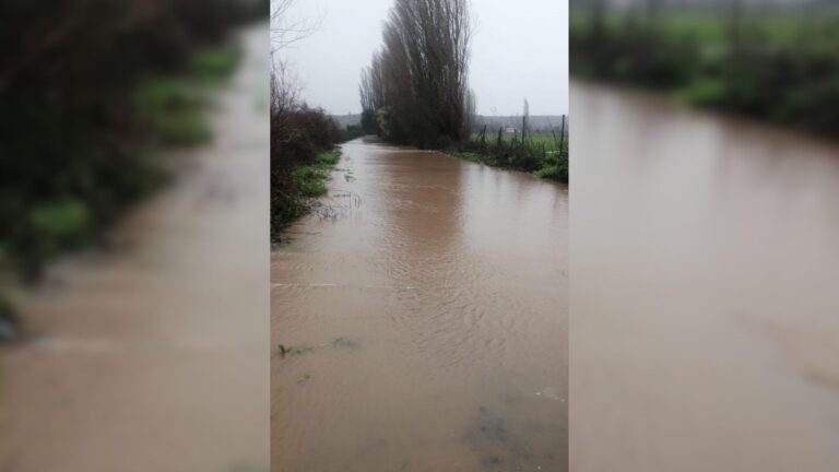 Sistema frontal: Senapred solicita evacuar sectores de la ribera del río Achibueno en Longaví