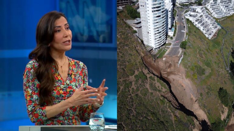Bárbara Salinas por socavón en Viña del Mar: 