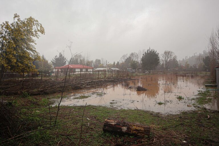 Subsecretaria Perales y ayudas a afectados por el sistema frontal: 