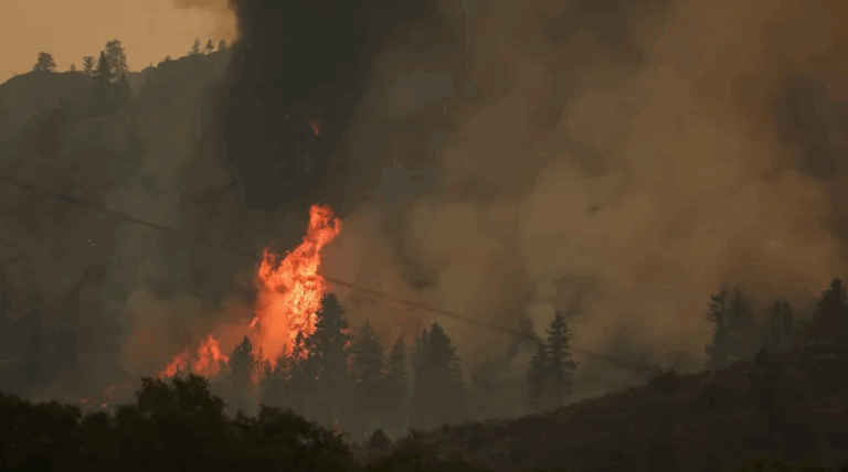 Incendio forestal genera peligrosos 