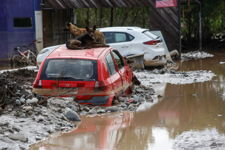 Alcalde de Talagante e inundación por Río Maipo: Esas familias compraron y lo que corresponde es hacer obras de defensa fluvial