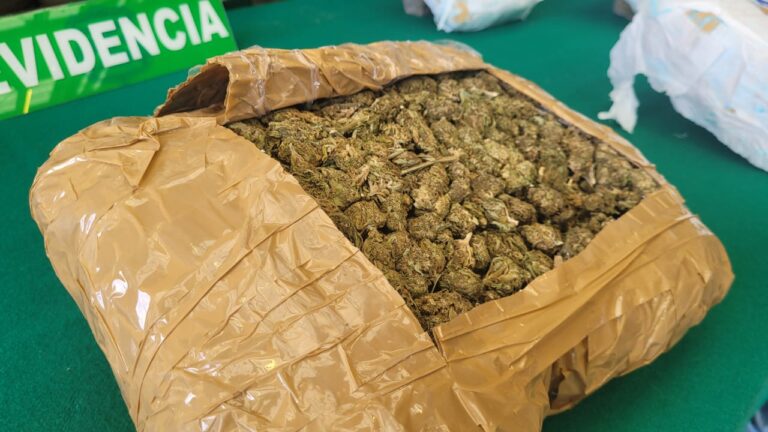 Incautan más de 57 kilos de marihuana durante operativo carretero en Ñuble: Una persona fue detenida