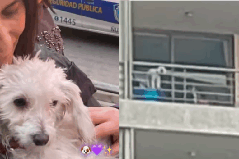 Detienen a sujeto en Ñuñoa por golpear y maltratar a su perro: Lo amarraba con cinta adhesiva en el balcón