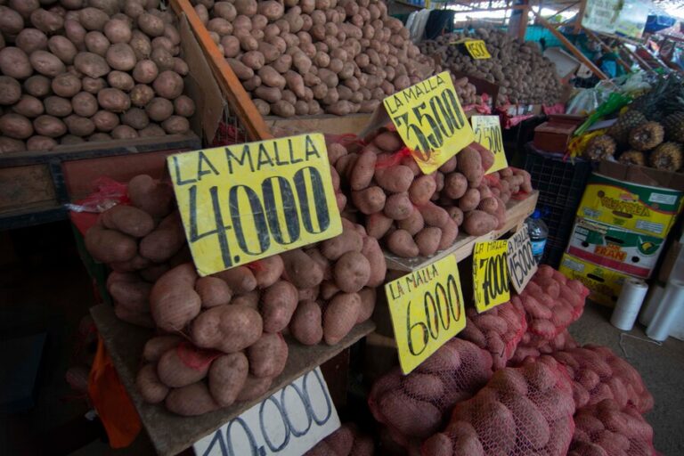 Gobierno pide a la Fiscalía Nacional Económica indagar posible colusión en el precio de las papas