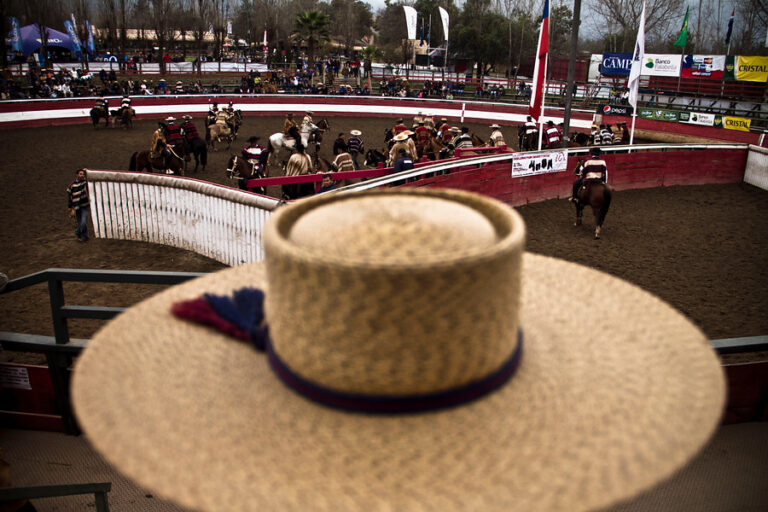 Comisión del Consejo Constitucional aprueba enmienda que establece el rodeo como deporte nacional