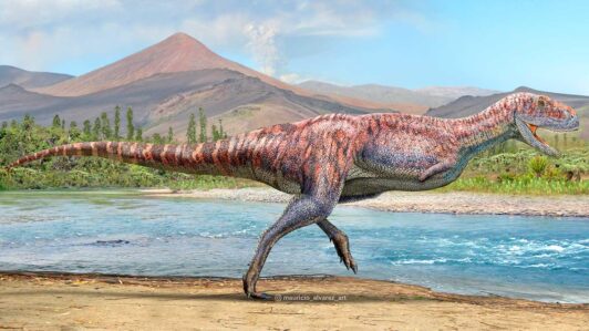 Científicos chilenos descubren dinosaurio carnívoro de “brazos cortos” que vivió hace 92 millones de años en Coquimbo