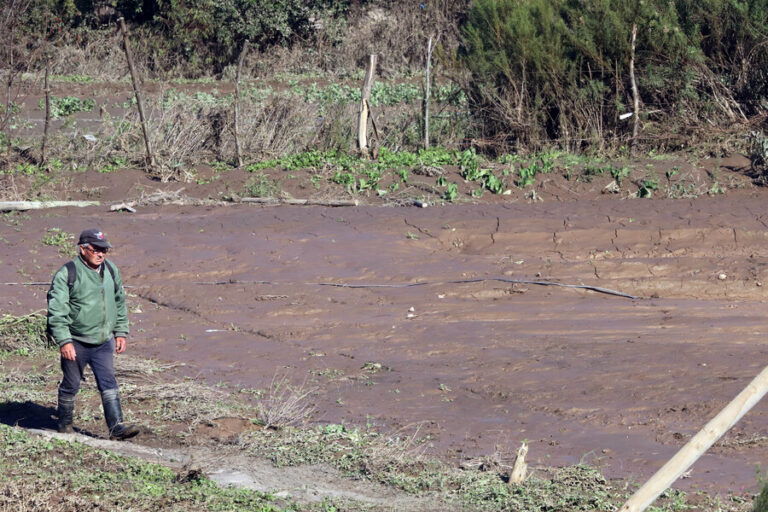 Sistema frontal: ¿Cuáles son las ayudas para los agricultores damnificados?