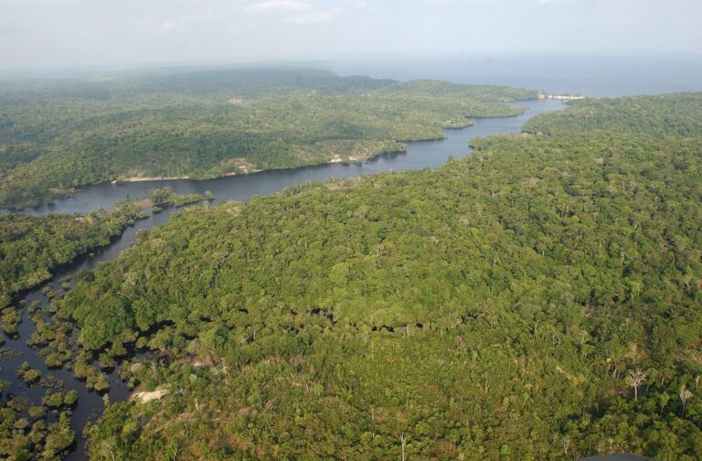 Sohr y la importancia de la Cumbre de la Amazonía: 