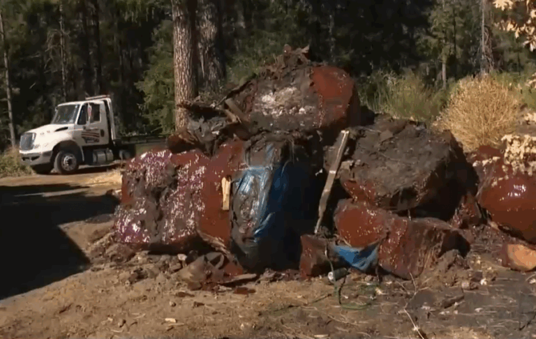 Dulce tragedia: Toneladas de chocolate arden tras incendio de camión en California