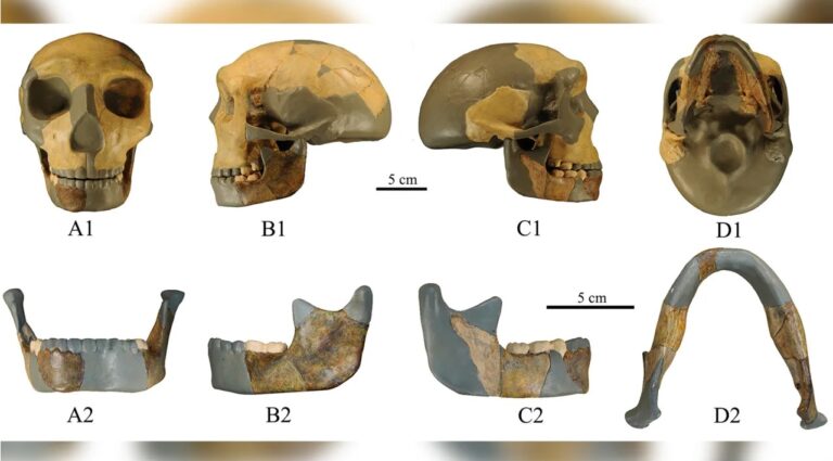 China: Detectan cráneo de miles de años de antigüedad cuyos rasgos no se parecen a ningún humano primitivo conocido