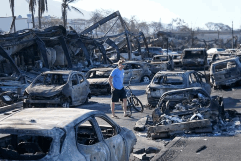 Estiman que la reconstrucción tras los incendios en Hawái costará miles de millones de dólares