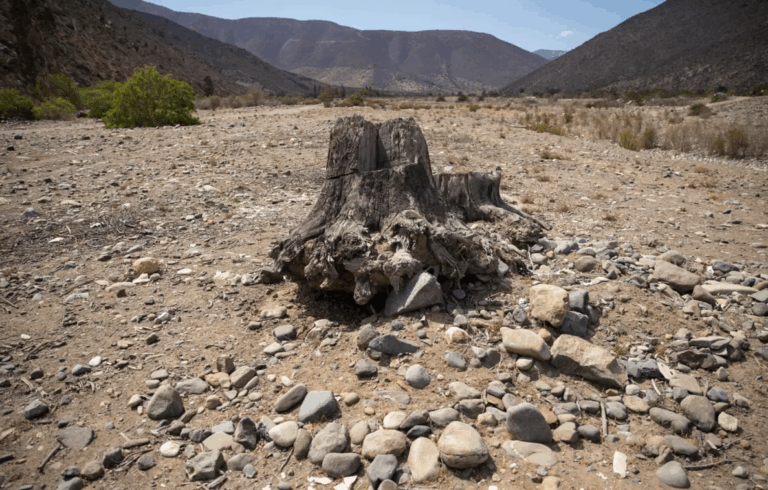 Raúl Sohr advierte que sobregiro ecológico de la Tierra 