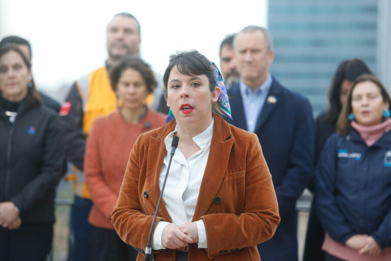 Delegada Martínez por marcha de la romería por La Moneda: 