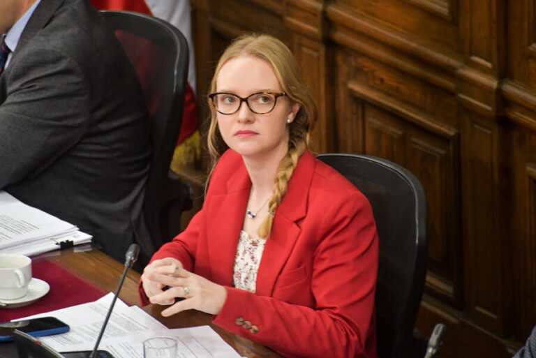 Proceso constituyente: Beatriz Hevia instó al Gobierno a que 