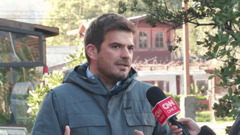 Delegado de La Araucanía: 