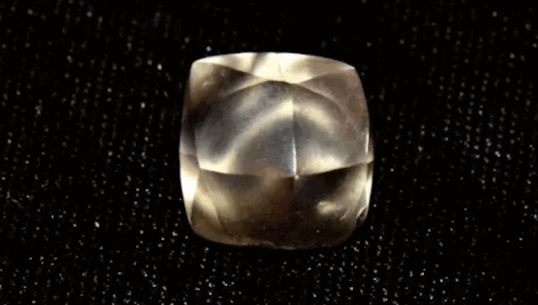 Niña de 7 años descubre diamante de 2,95 quilates mientras celebraba su cumpleaños en un parque