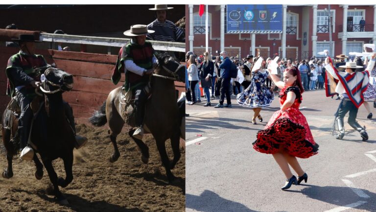 Consejo Constitucional rechazó el rodeo como deporte nacional, con división entre Chile Vamos y Republicanos