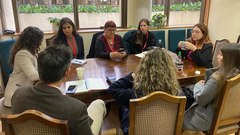 Diputada Bello llamó al gobierno a incluir métodos anticonceptivos de larga duración en Ley de Presupuesto 2024