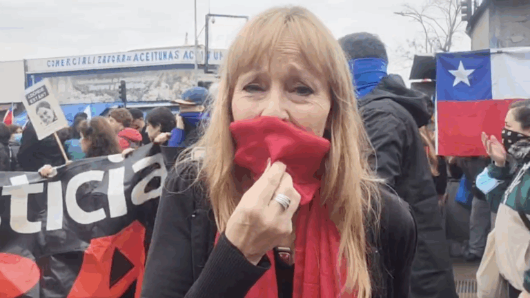 Diputada Gazmuri acusó 