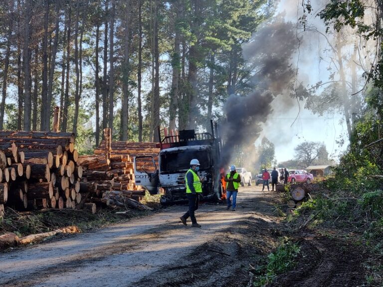 Resistencia mapuche Weichan Auka Mapu se adjudicó ataques en Región del Biobío por visita de presidente Boric