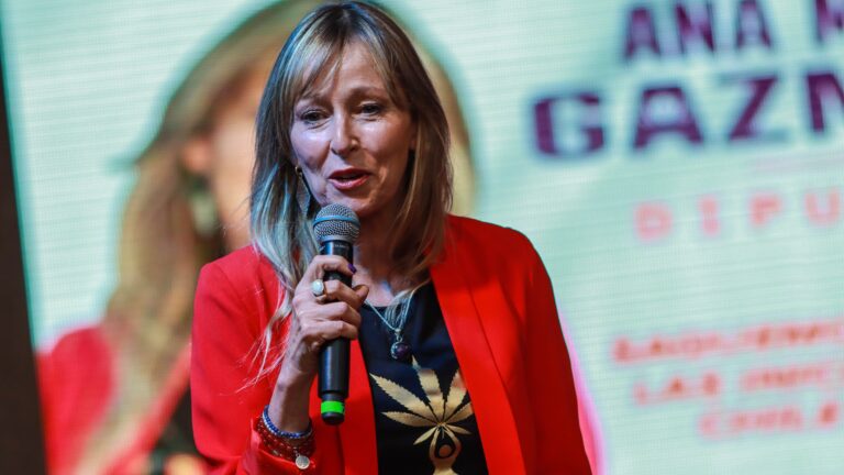 Caso Convenios: Diputado republicano denunciará a Fundación Daya por presunto mal uso de recursos