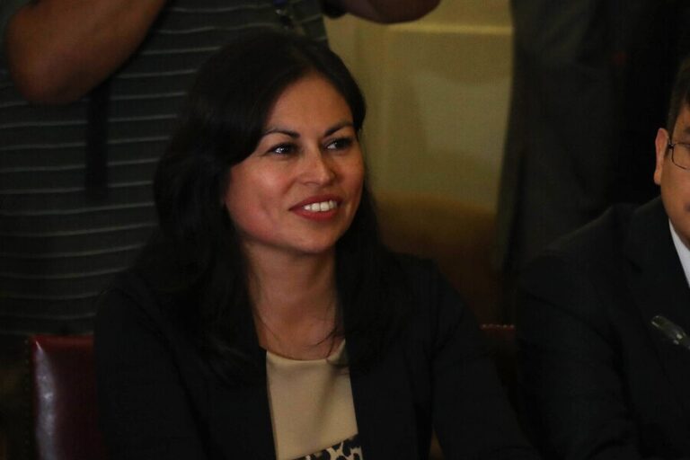 Comisionada Fuenzalida: 