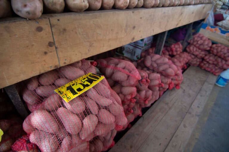 IPC de septiembre registró variación de 0,7%: Destaca alza de 37,7% en las papas