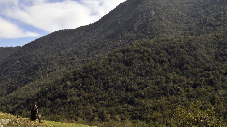 Región de Valparaíso: Bomberos encuentra sin vida a hombre que desapareció en Parque Nacional La Campana