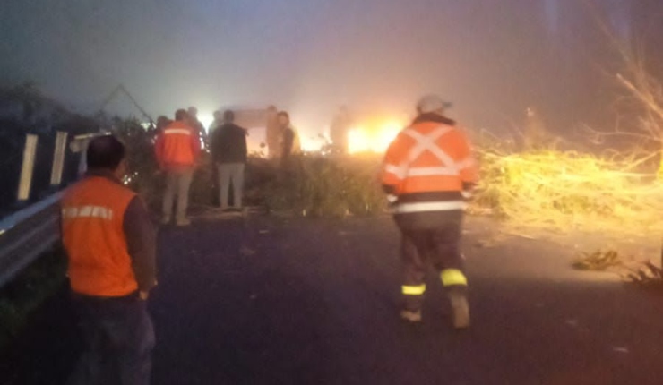 Ataque incendiario en Lumaco: Sujetos derribaron árboles, bloquearon ruta y quemaron 3 camiones forestales
