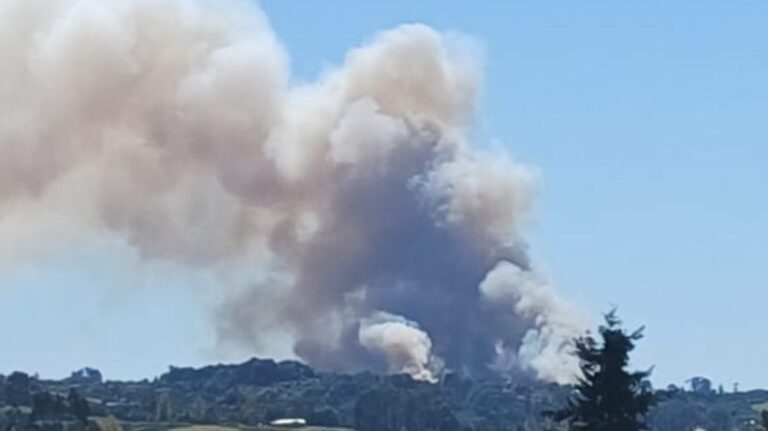 Alerta Roja en la comuna de Castro por incendio forestal: Ha consumido 9 hectáreas