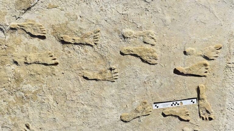 Grupo de científicos dice haber confirmado que los humanos llegaron a América mucho antes de lo que se piensa