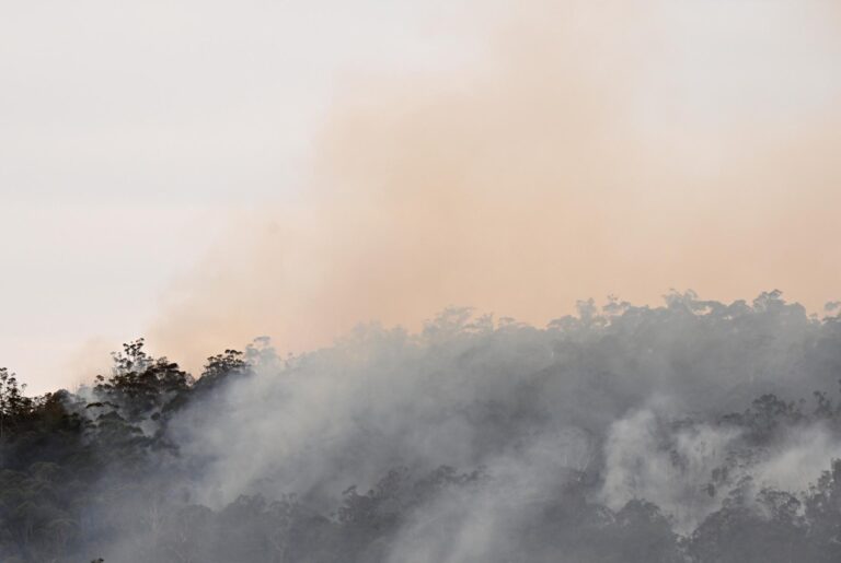 Australia: Intensa lucha contra incendios forestales, mientras autoridades advierten inundaciones repentinas