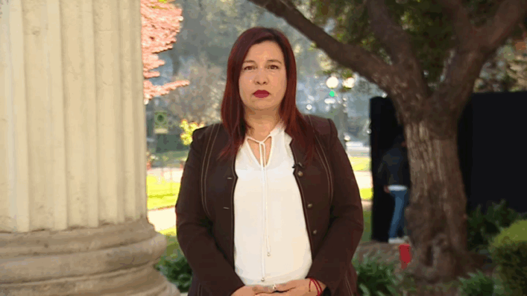 Las críticas de Karen Araya al texto del Consejo Constitucional: 