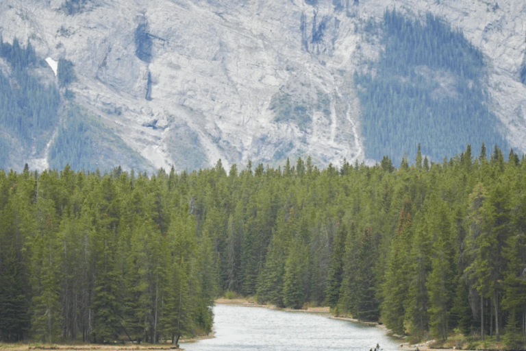Canadá: Presunto ataque de oso pardo en Parque Nacional de Banff deja dos muertos