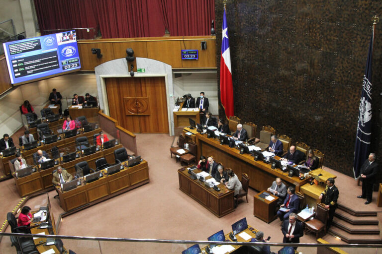 Triunfo para el Gobierno: Senado aprueba 13 de las 14 observaciones a la Ley de Usurpaciones