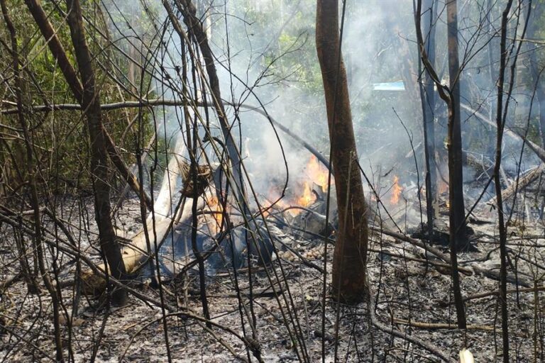 Doce personas murieron tras caída de una avioneta en la Amazonía brasileña: Había un bebé entre las víctimas