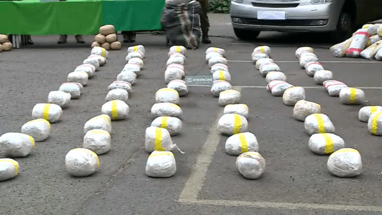 Desarticulan banda criminal dedicada al tráfico de drogas en la RM: Incautaron más de 360 kilos de marihuana