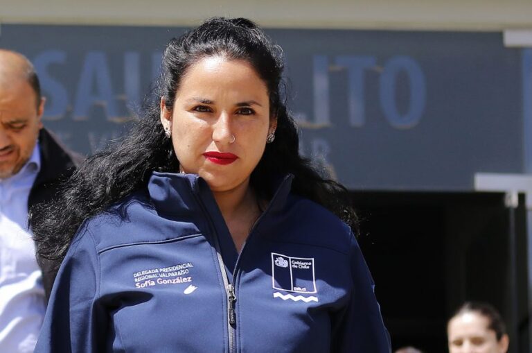 Sofía González y trabajos en edificios de Concón: 