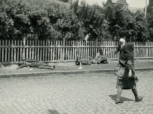 En su 90 aniversario: Chile, España y otros 53 países condenan la gran hambruna provocada por Stalin en Ucrania
