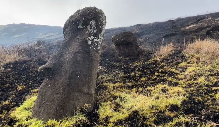 Incendio forestal de alta intensidad afecta a Rapa Nui: Siniestros están fuera de áreas silvestres protegidas