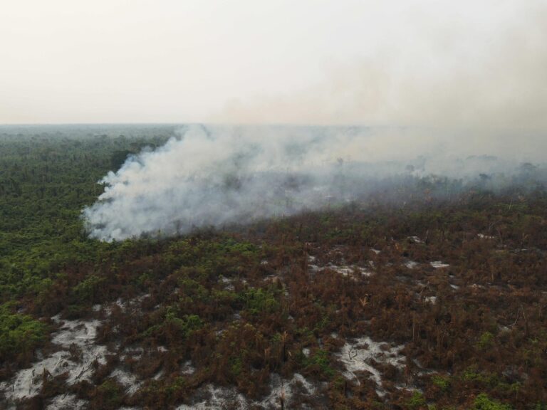 Bolivia: Gobierno pide ayuda a Brasil, Chile, Francia y Venezuela para contener los incendios forestales