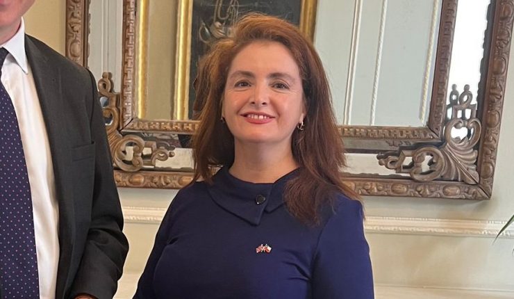 Exembajadora de Chile en Reino Unido demanda al fisco: Pide $190 millones y disculpas públicas
