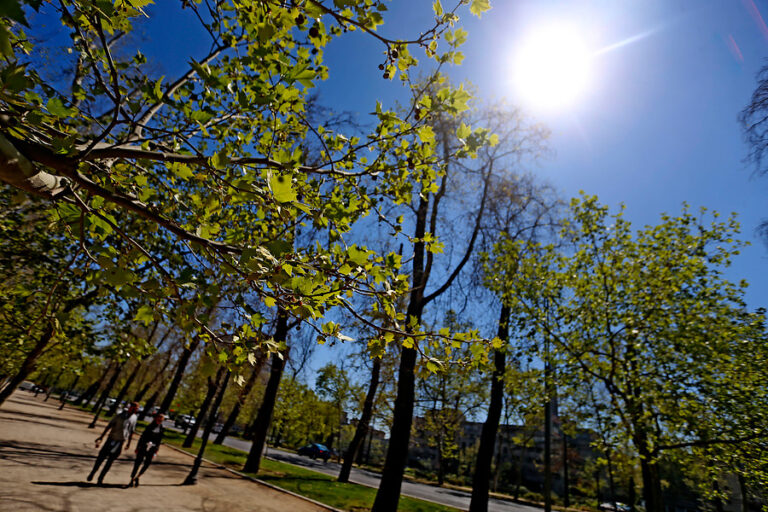 Jornada primaveral en Santiago: Revisa el pronóstico del tiempo para este jueves 16 de noviembre