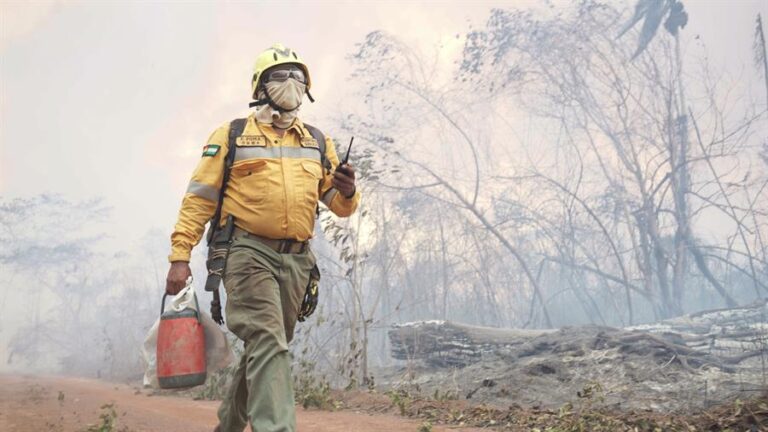Raúl Sohr por incendios forestales: 
