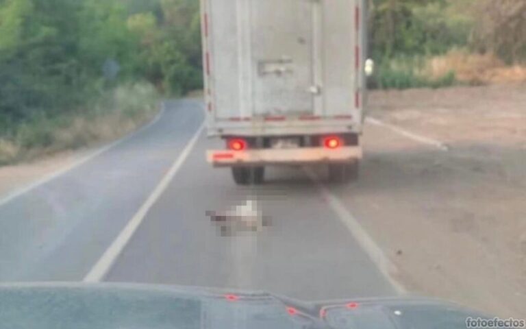 Decretan prisión preventiva para hombre que conducía con un perro amarrado a su camión