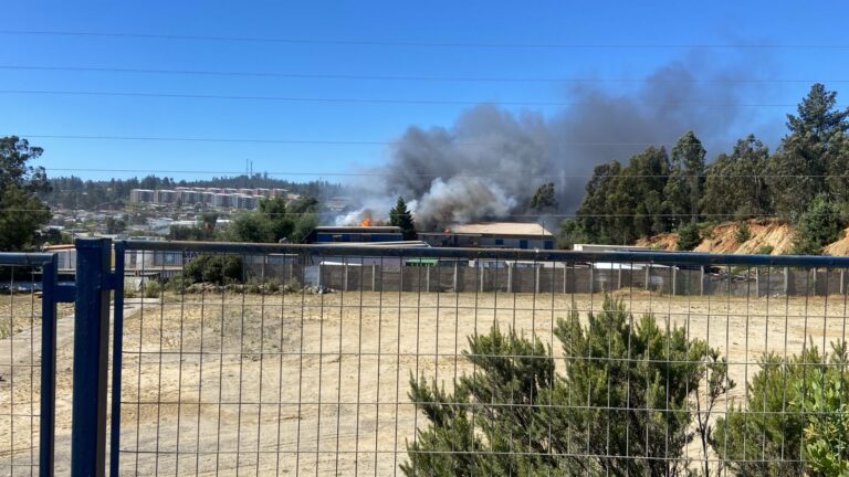 Incendio industrial afecta bodegas de una empresa de transportes en Valparaíso