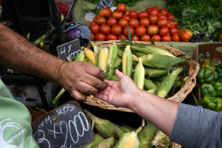Banco Central: Economía creció 0,3% en octubre