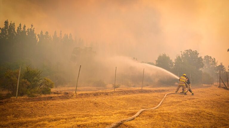 Senapred declara alerta temprana preventiva en Región de Valparaíso por amenaza de incendios forestales